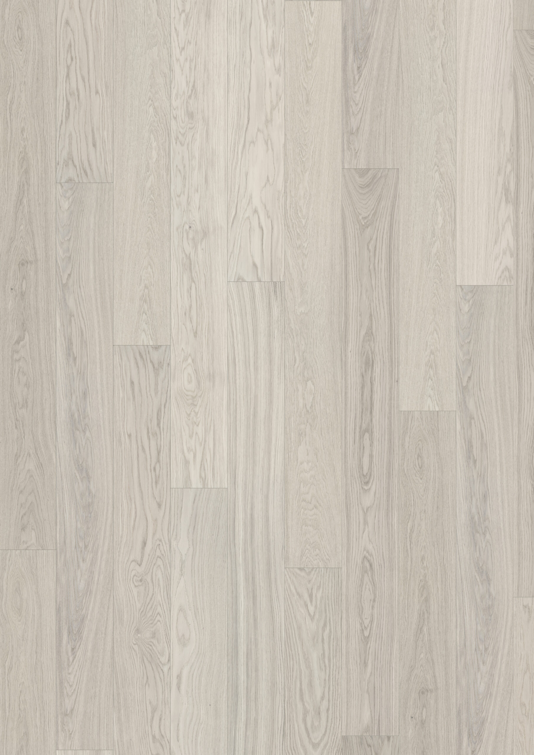 Roble Celery Plank