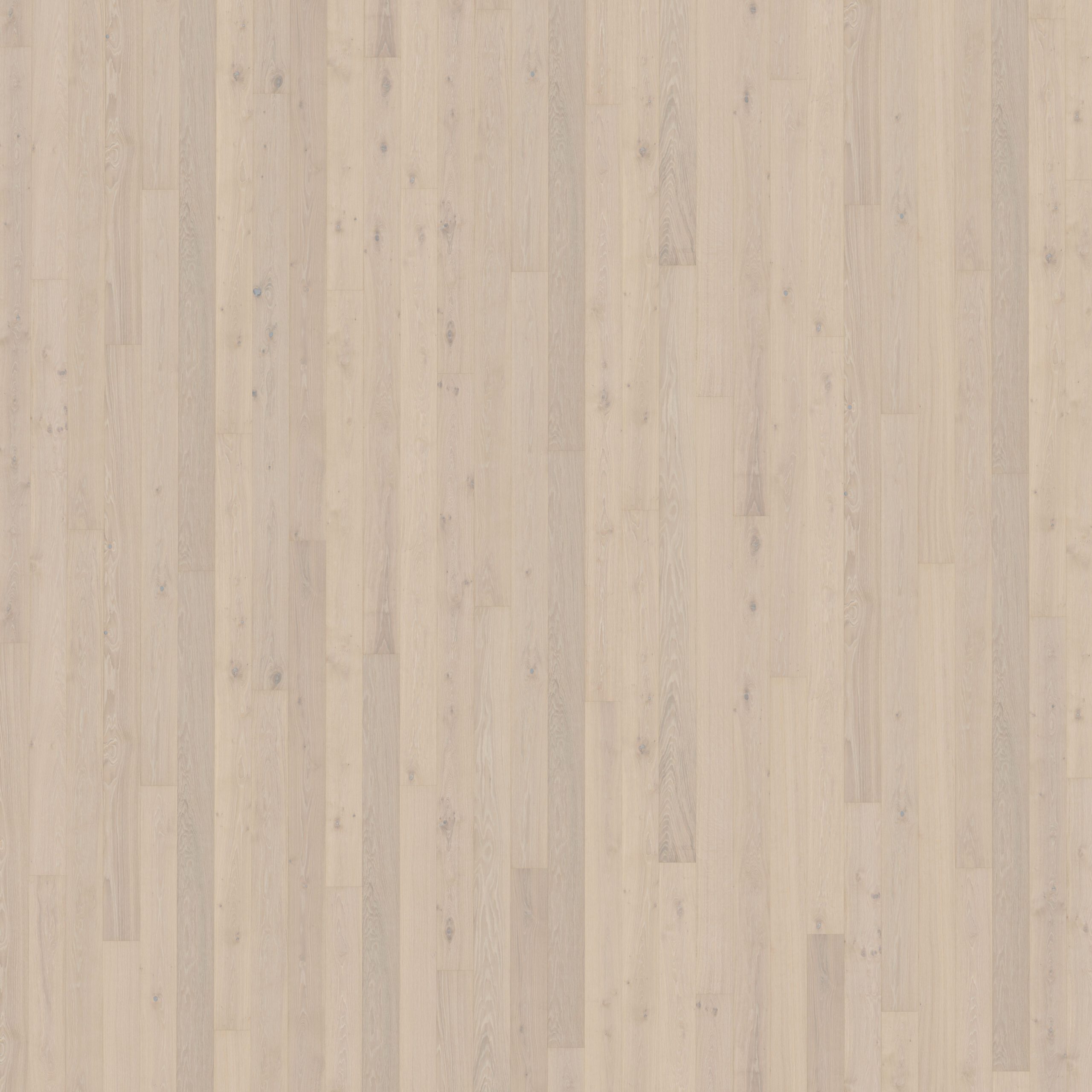Roble Crisp - Detalle Lama y Textura 3