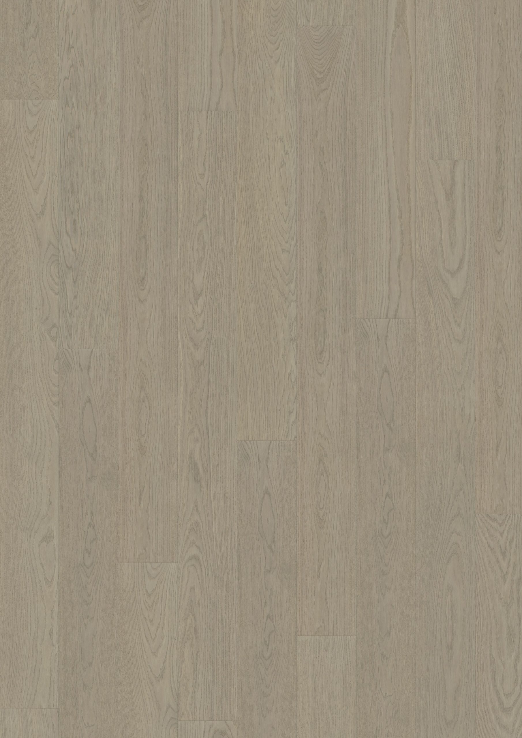 Roble Cumin Plank