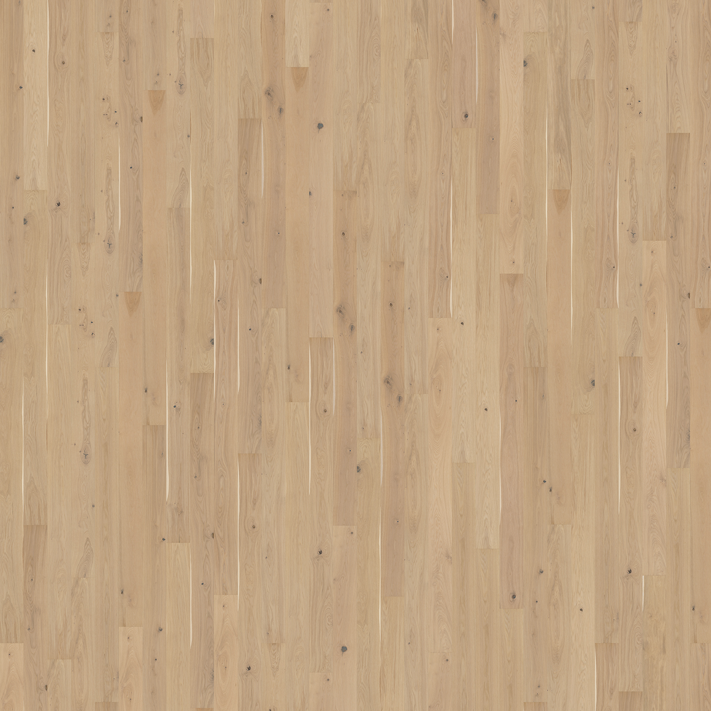 Roble Eggshell - Detalle Lama y Textura 3