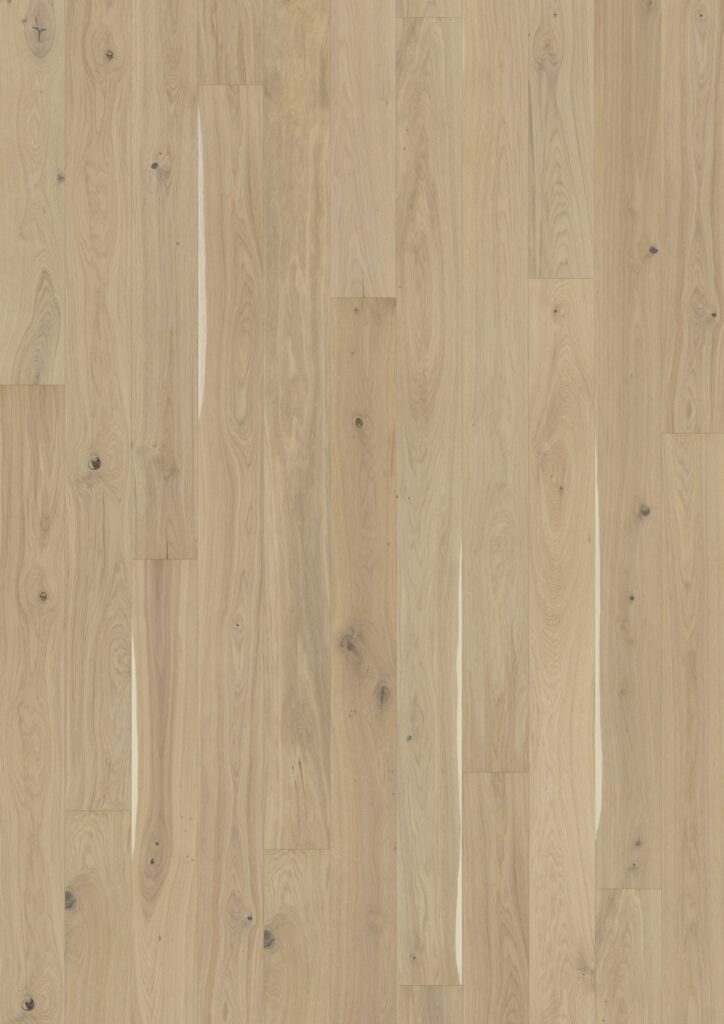 Roble Eggshell