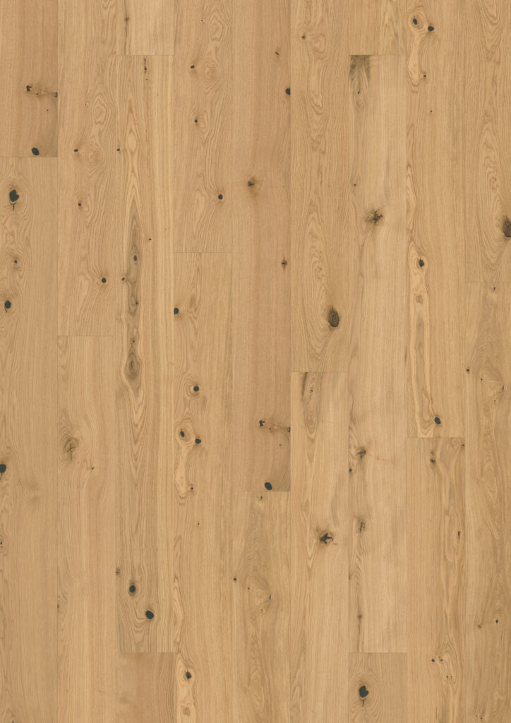 Roble Fennel Plank