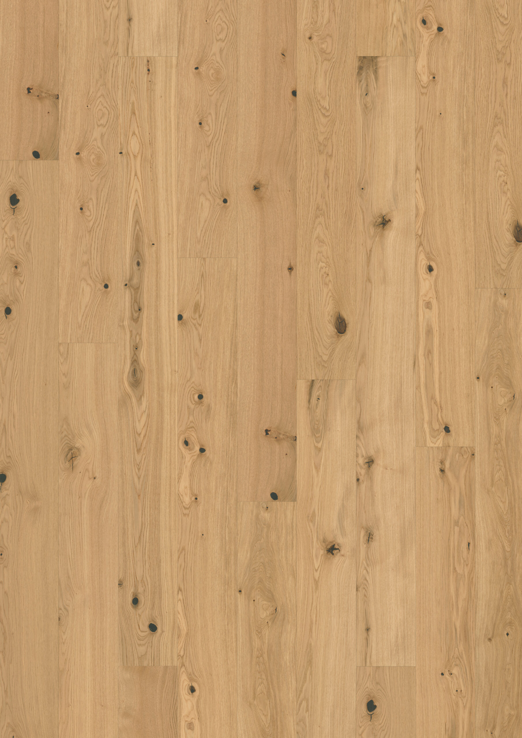 Roble Fennel Plank