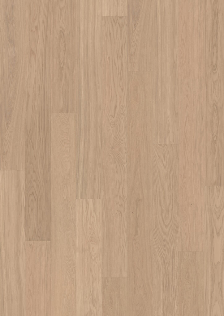 Roble Ginger Plank