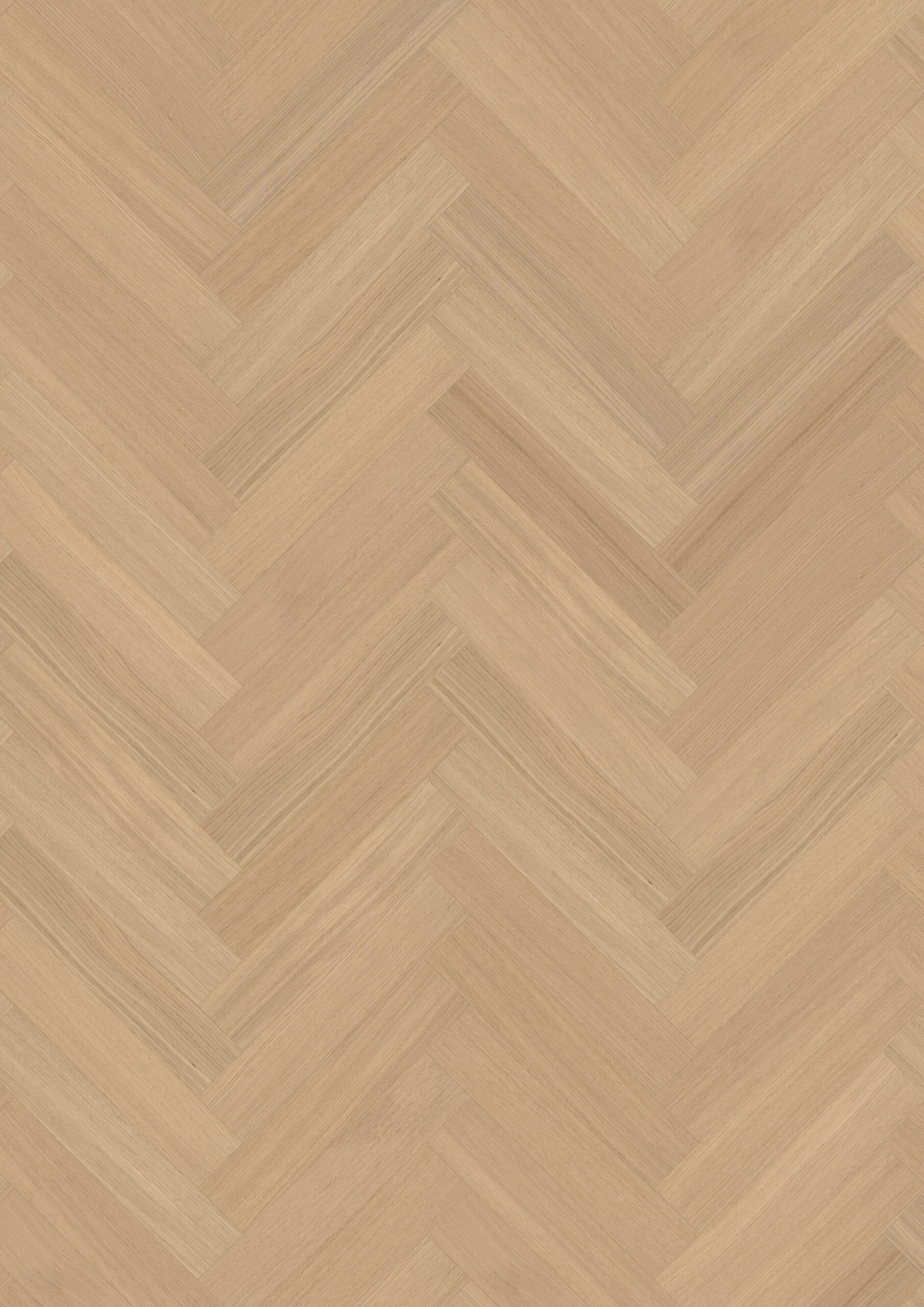 Roble Ginseng Herringbone