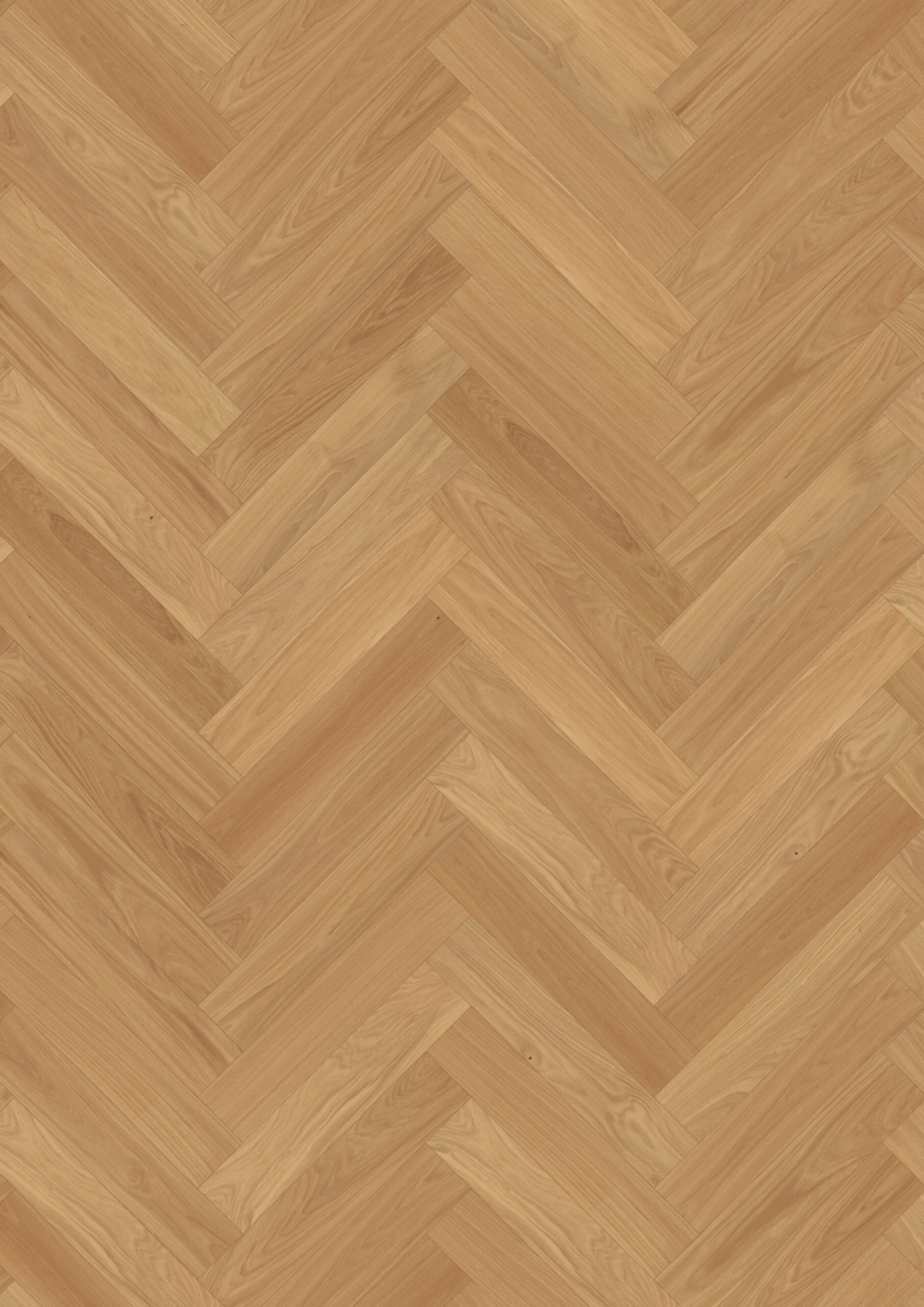 Roble Herringbone Ab