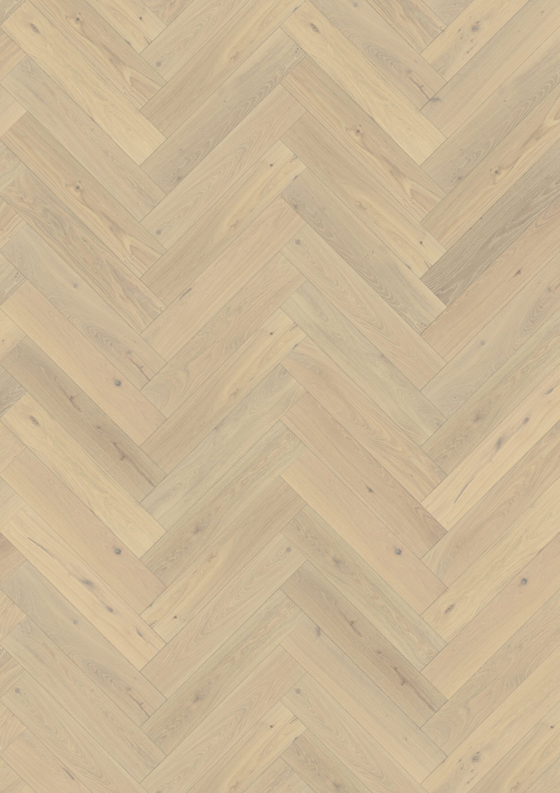 Roble Herringbone Cd Crème White