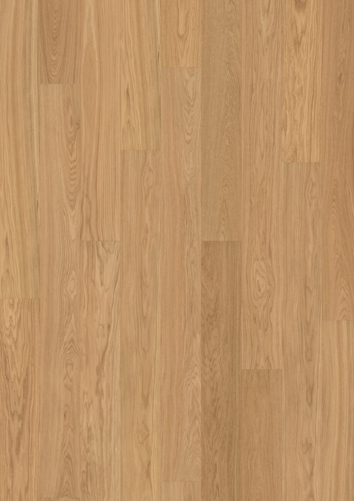 Roble Nutmeg Plank
