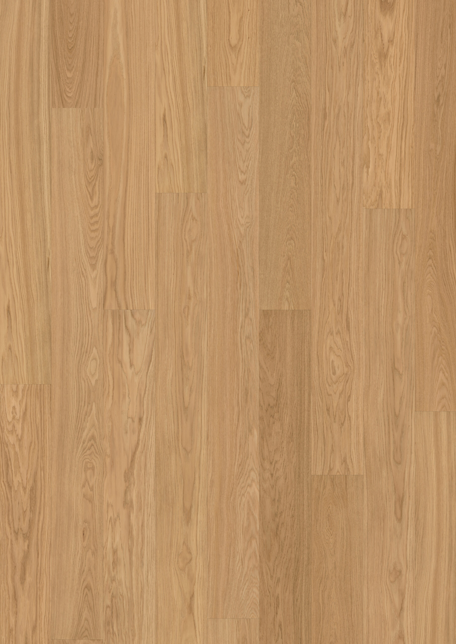 Roble Nutmeg Plank