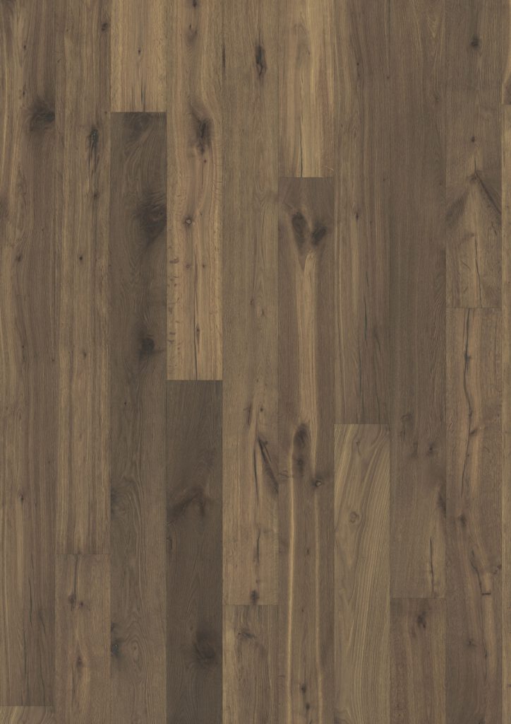 Roble Ombra