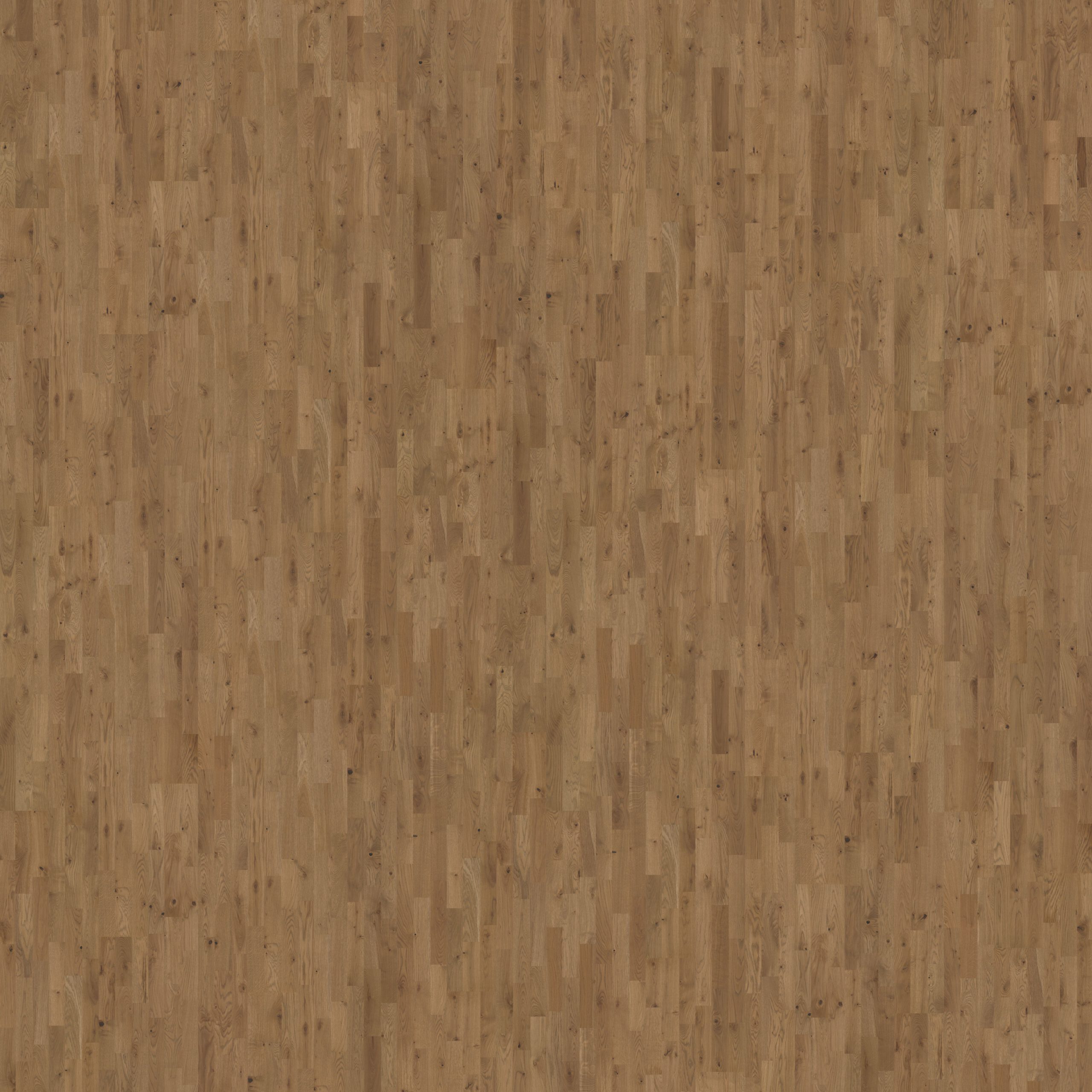 Roble Ore - Detalle Lama y Textura 4