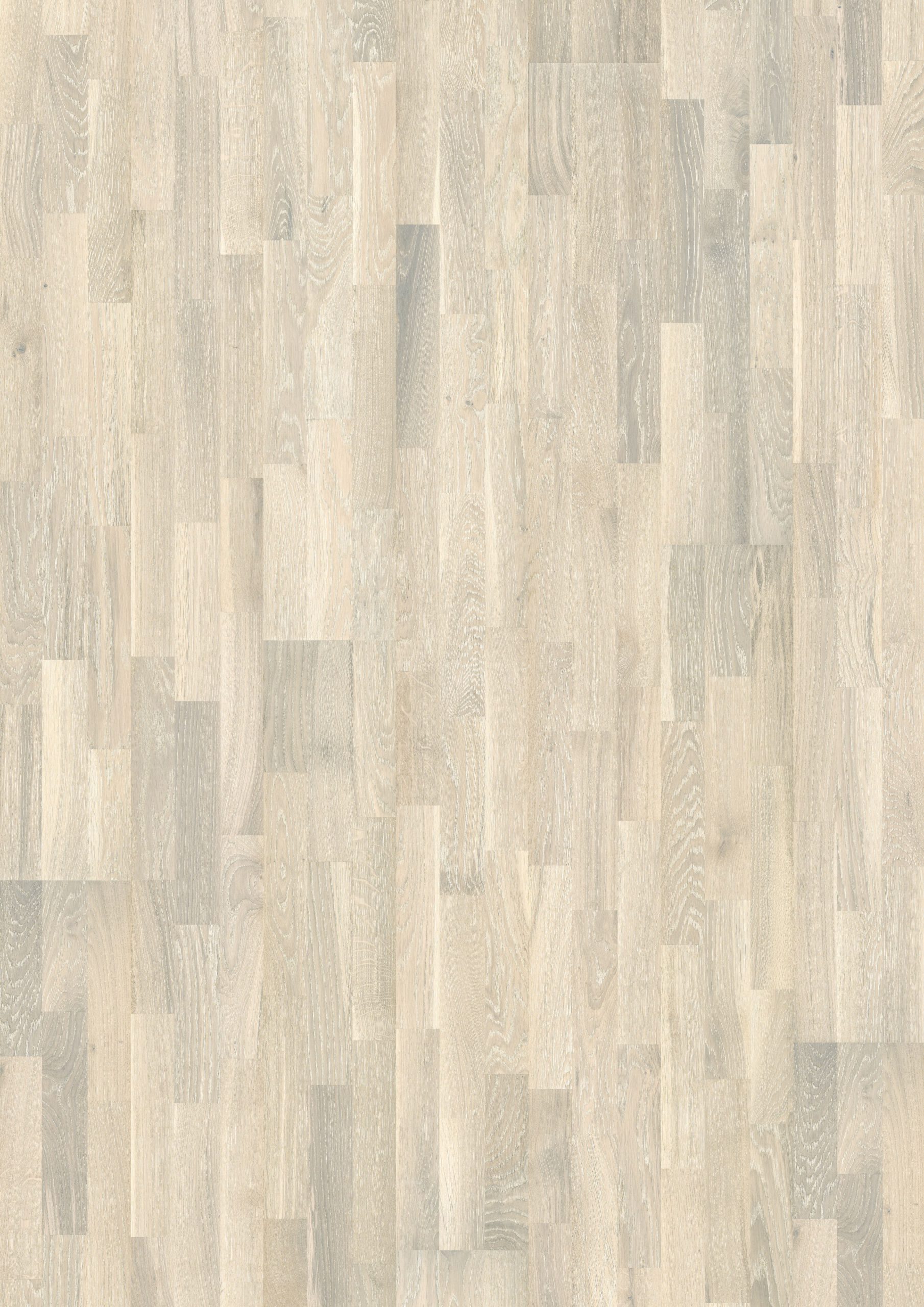Roble Pale
