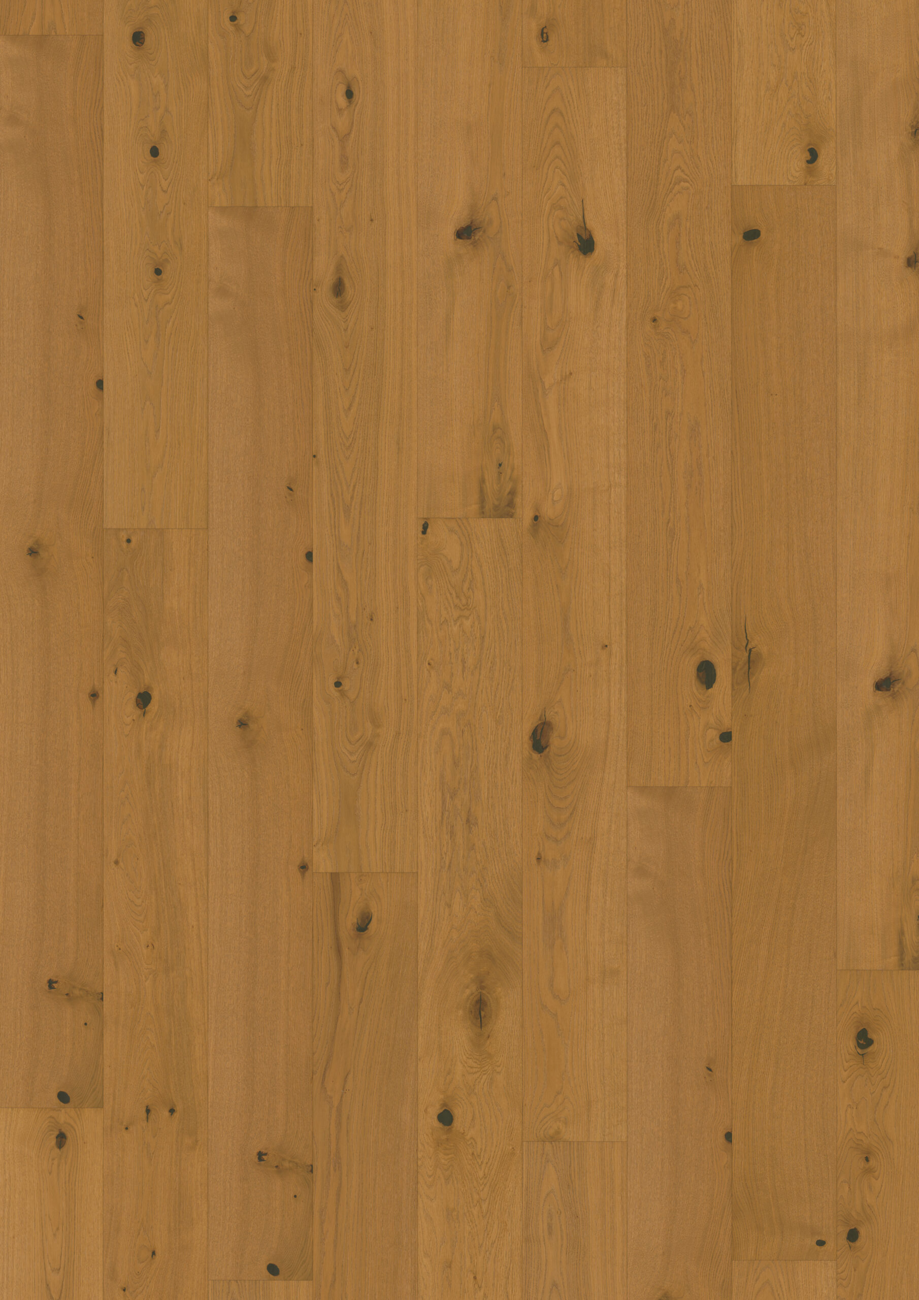 Roble Pepper Plank