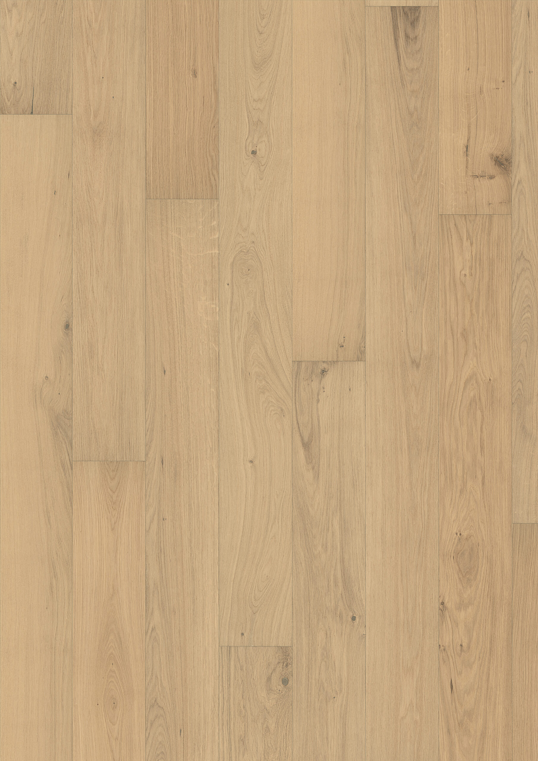Roble Piazza Cd Dim White