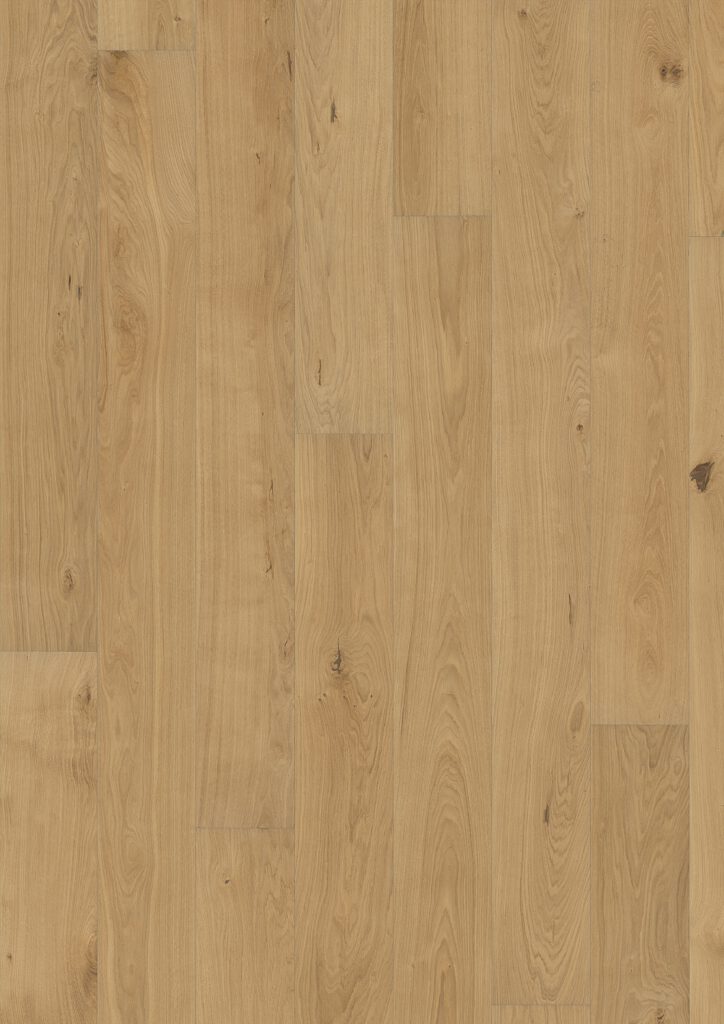 Roble Piazza Cd Oiled