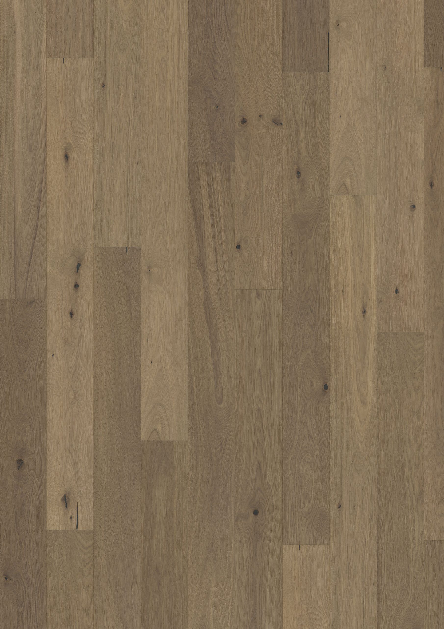 Roble Piazza Cd Smoked Grey - Detalle Lama y Textura 2