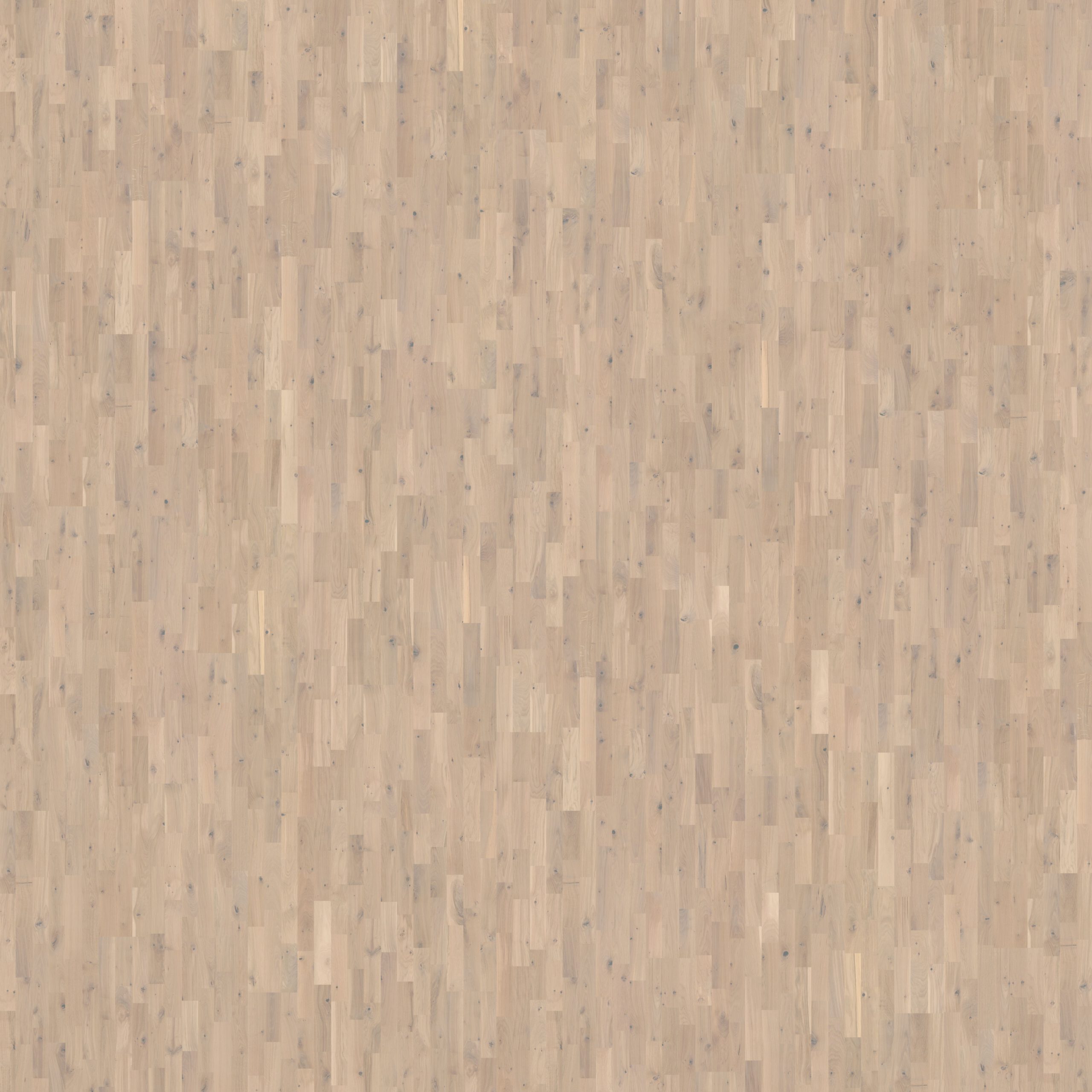Roble Salt - Detalle Lama y Textura 4