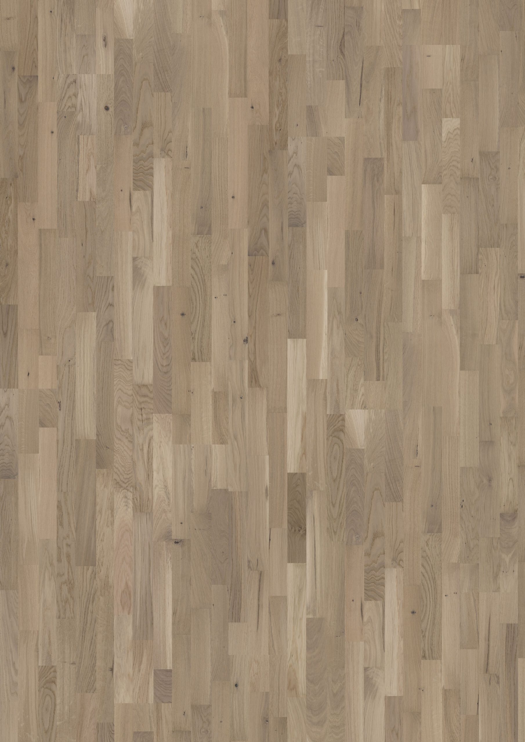 Roble Sand