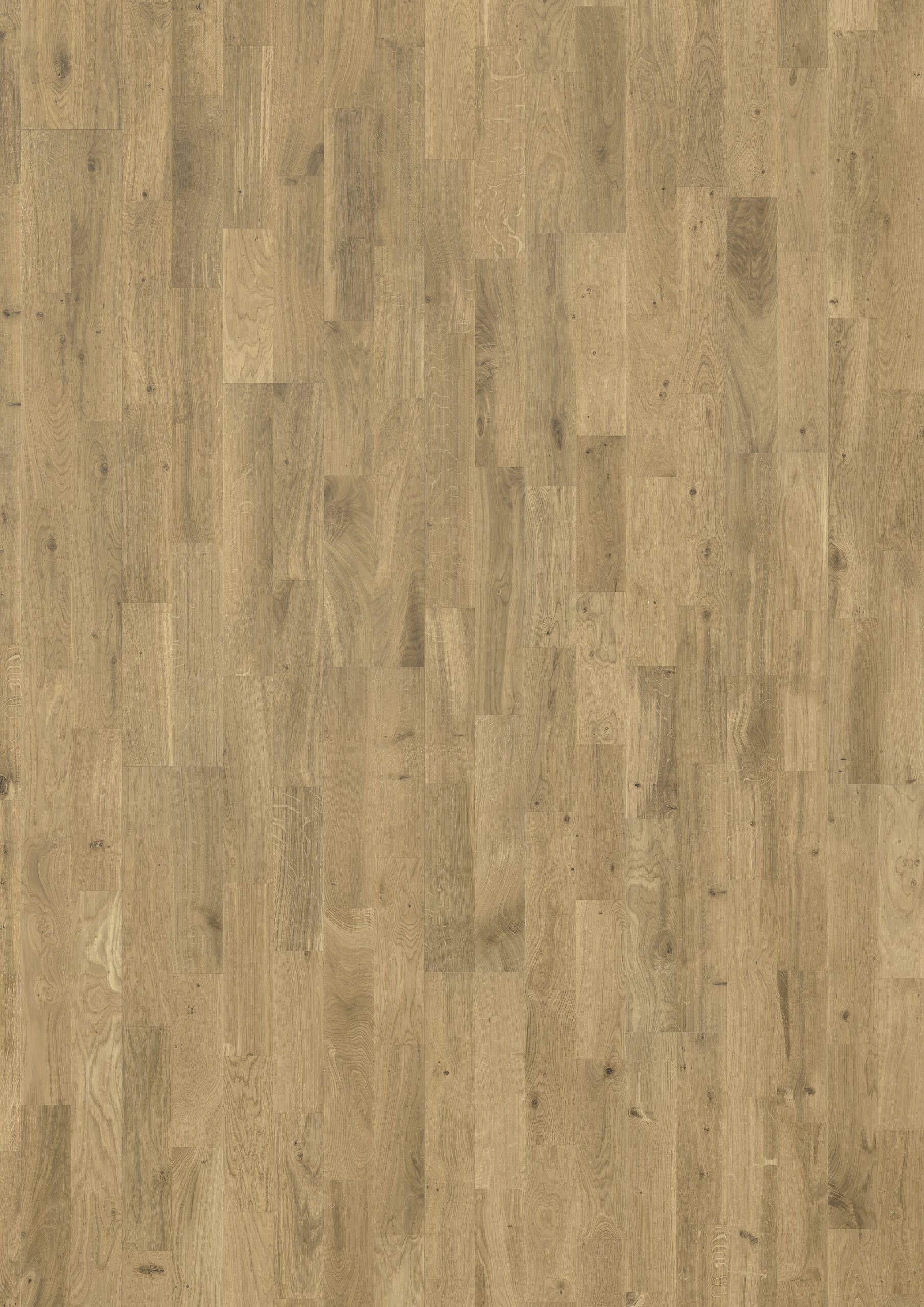 Roble Silk