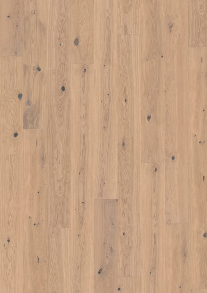 Roble Tahini Plank