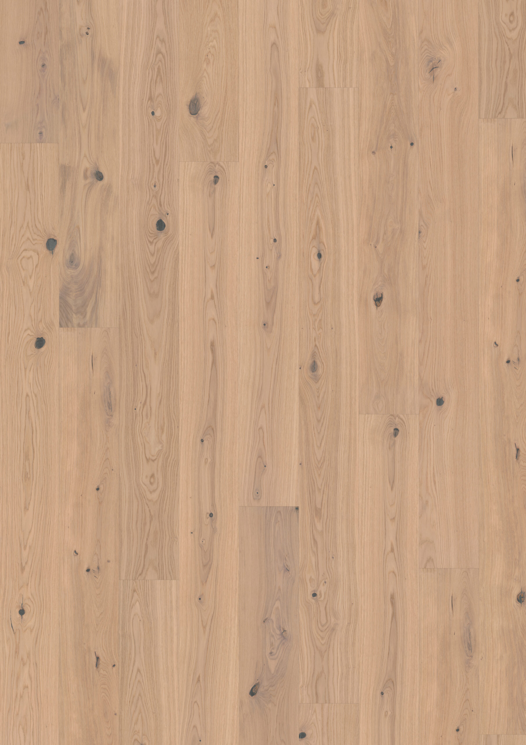 Roble Tahini Plank