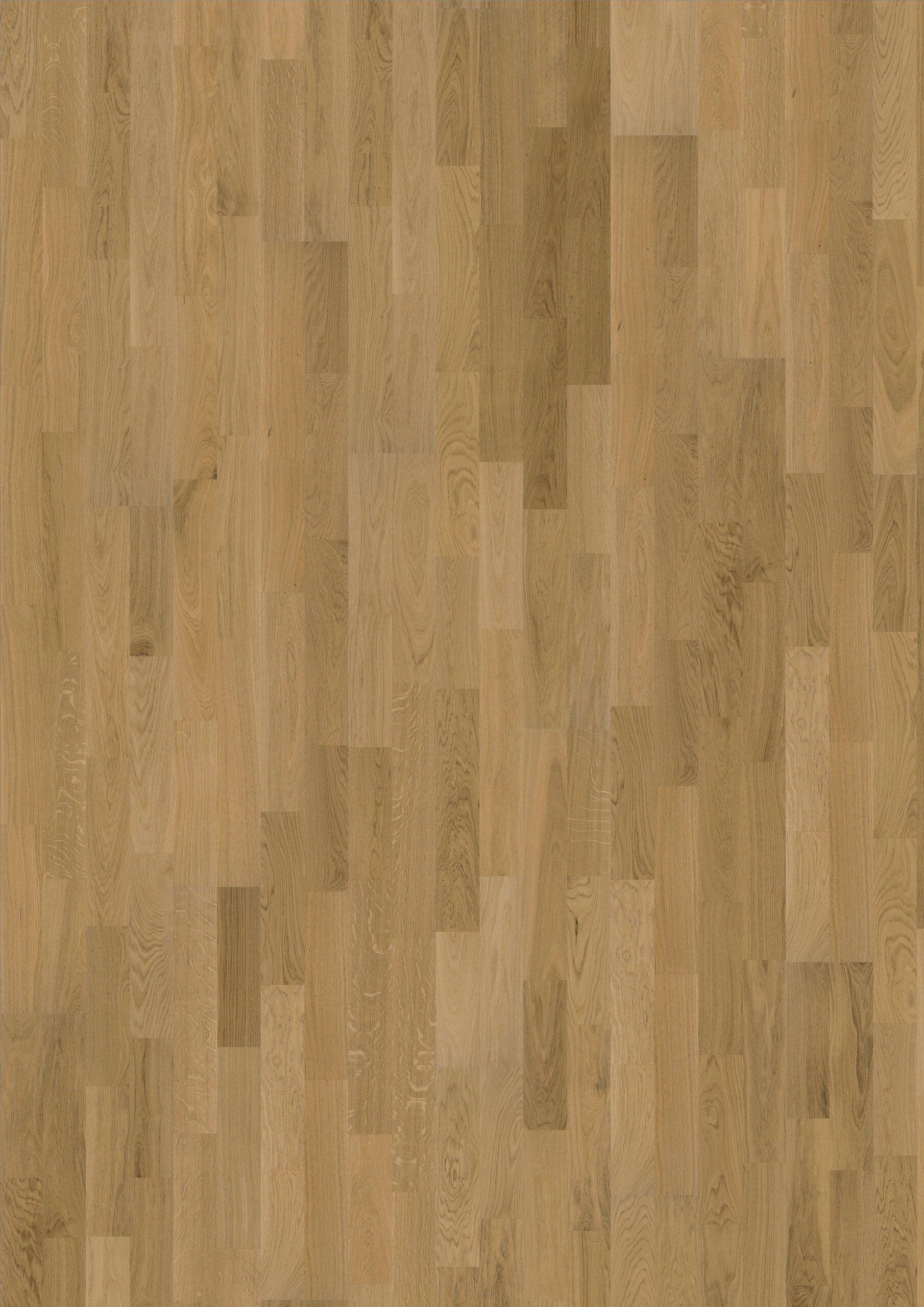 Roble Verona Ultra Matt